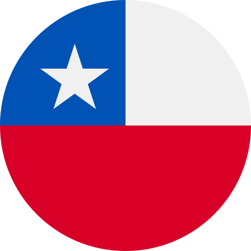 Чили флаг страны производителя