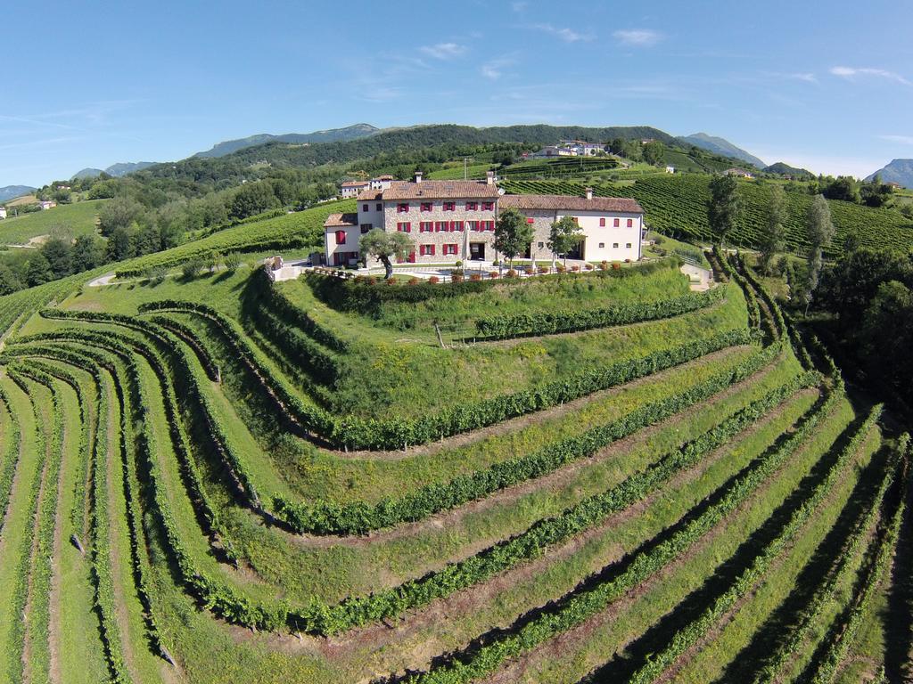 Виноделие региона Венето
