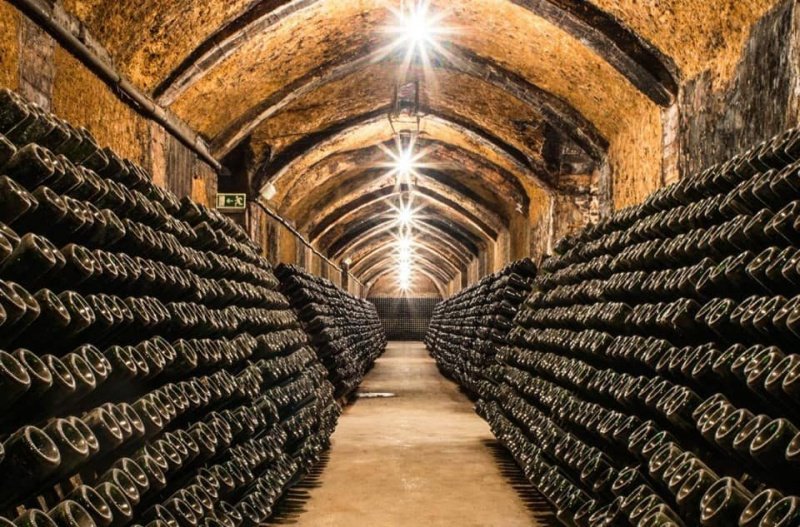 Cava — игристая гордость Испании Cava — игристая гордость Испании