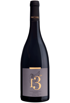 Вино Бригл 1309 Винья Хазелхоф Пино Нуар Резерва фото