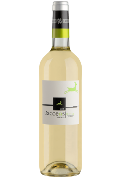 Вино Ваккеос Вердехо фото