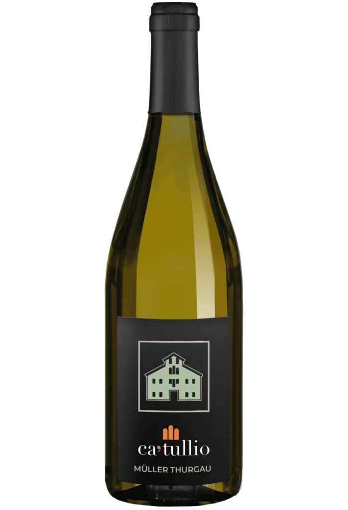 Вино Ка Туллио Мюллер Тургау фото