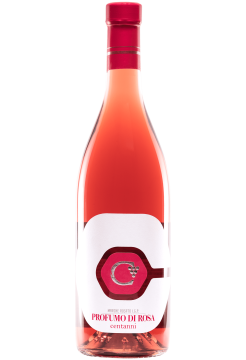 Вино Чентанни Профумо ди Роза Марке Розато фото