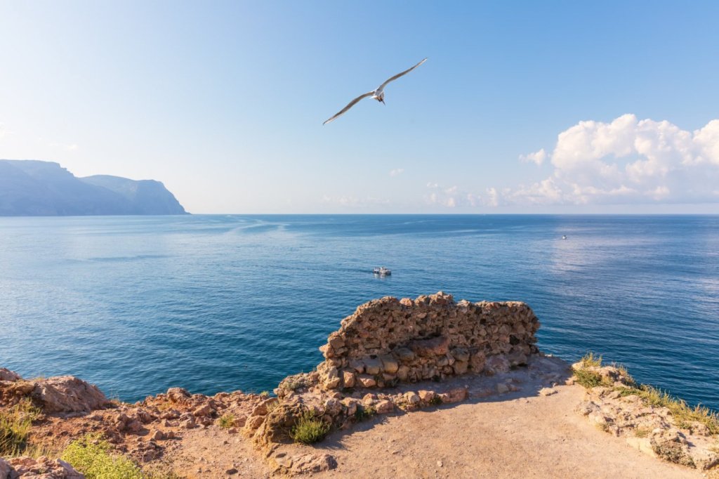 Крымское шардоне - обзор, отзывы и стоит ли покупать?