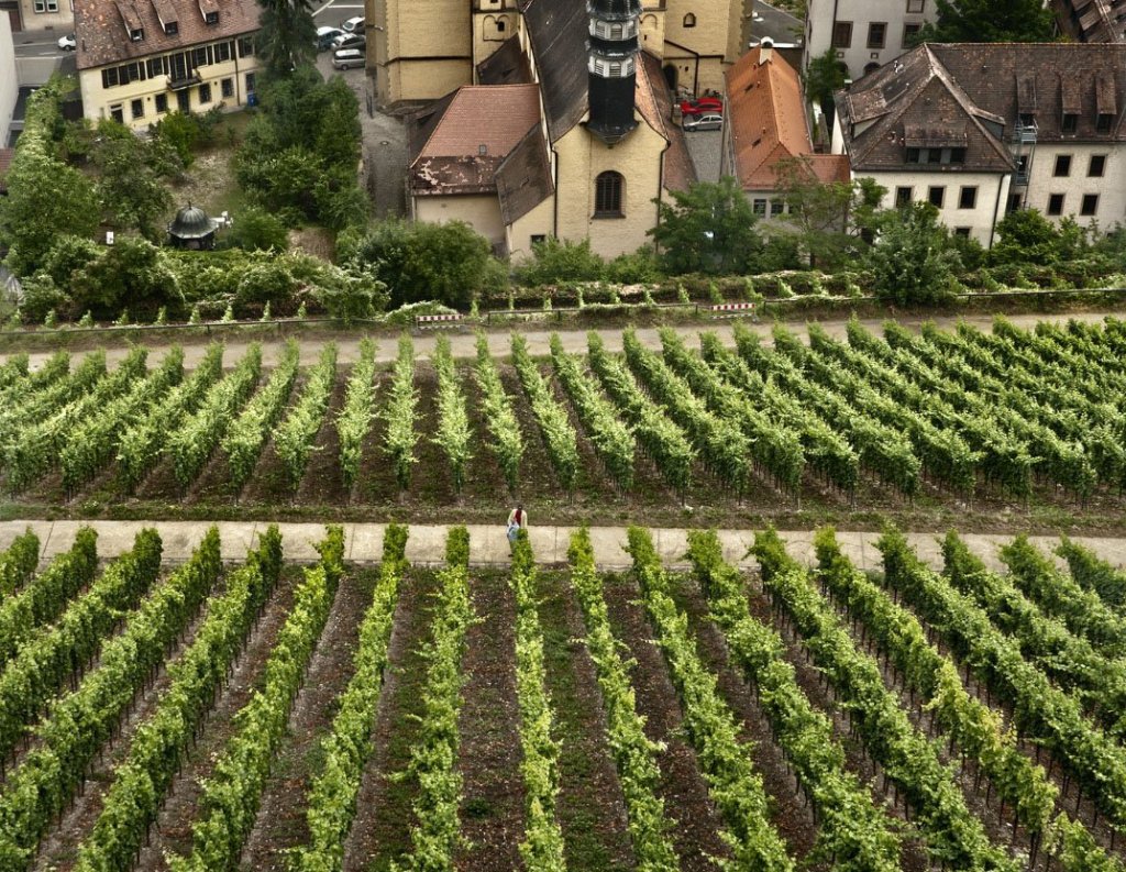 Виноделие и вина Германии