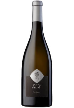 Вино Лавис Вик Совиньон Винети Делле Доломити фото