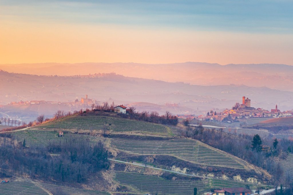 Вина Пьемонта — история, сорта винограда,  климат и почвы региона