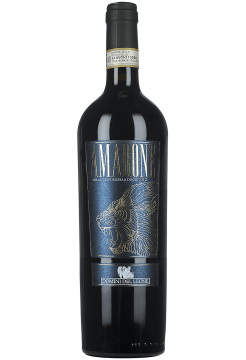 Вино Домини дель Леоне Амароне делла Вальполичелла фото