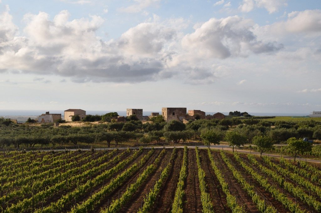 Сицилия — Трапани. Важнейшая зона виноделия на Сицилии.
