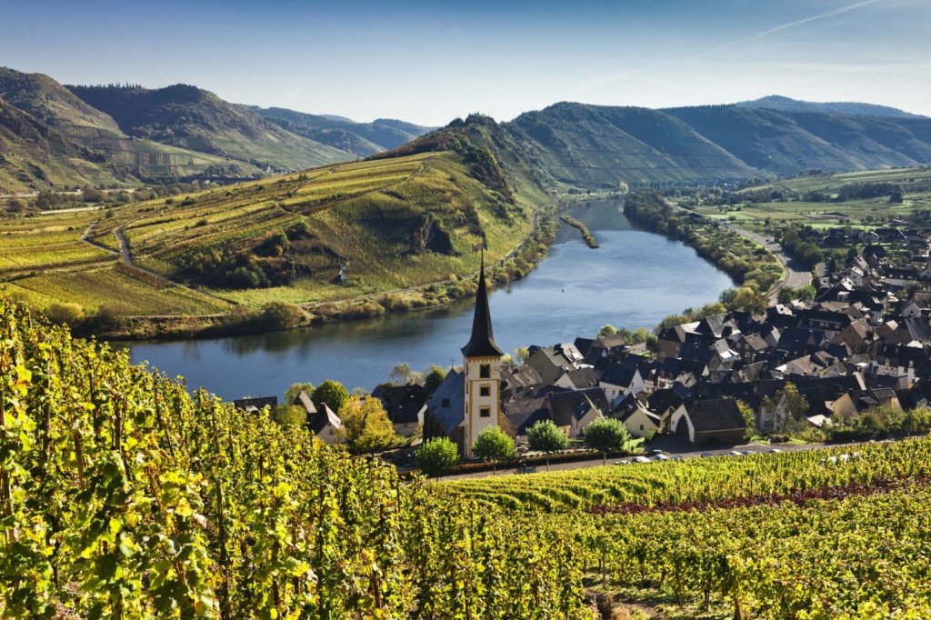 Виноделие и вина Германии