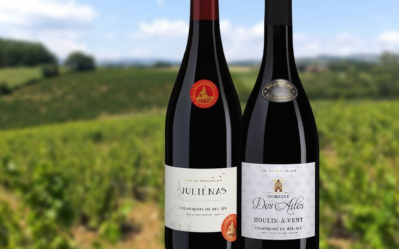 Глубина Божоле в новом звучании: красные вина от Vinescence – Vignerons de Bel Air