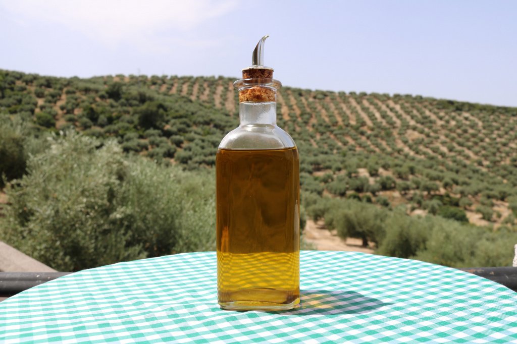 В Испании производят больше 1 600 000 тонн оливкового масла в год