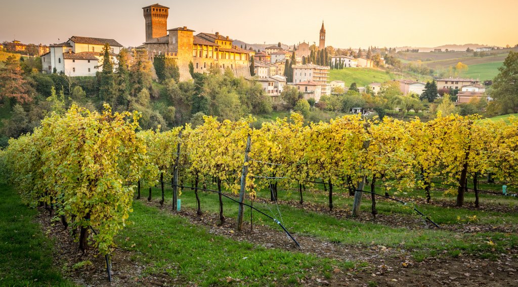 Игристое вино ЛАмбруско родом из итальянского региона Эмилия-Романья