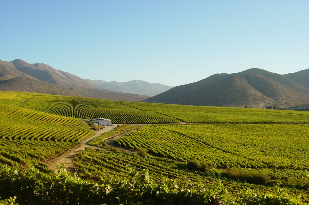 В нашей винотеке можно найти вина Чили из Центральной Долины
