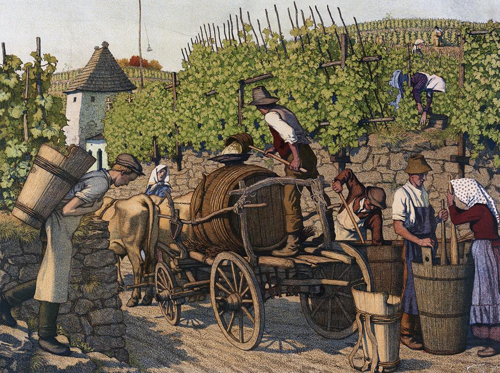 Виноделие в Средневековье