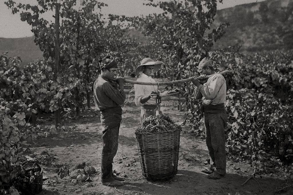 История вина Кава начинается с 1872 года