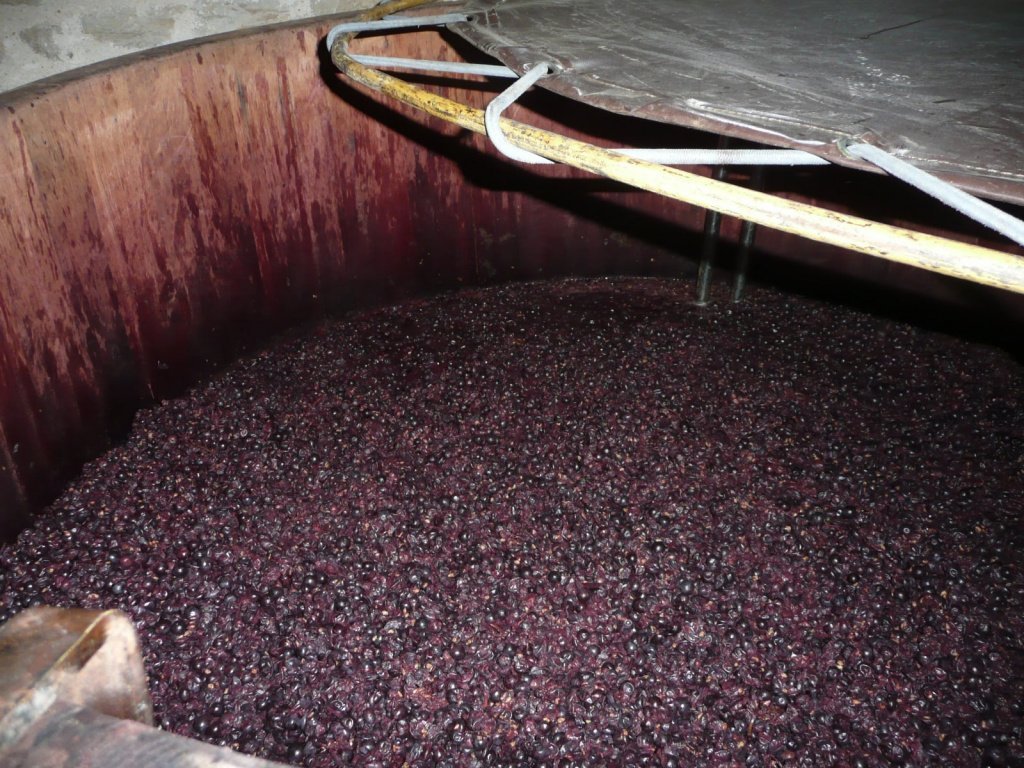 Мацерация - процесс настаивания отжатого сока с кожицей и косточками винограда