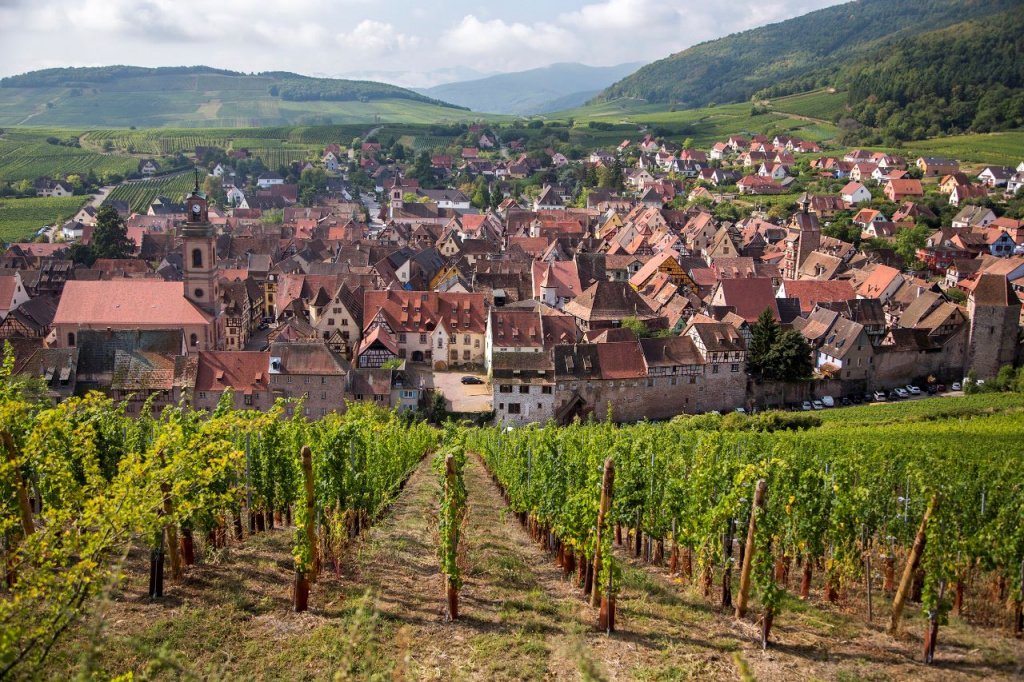 Эльзасские вина имеют очень длинную историю