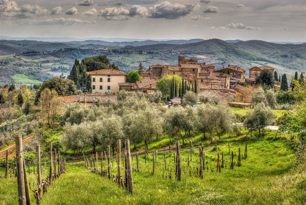 Тоскана является лидером по выращиванию винограда Санджовезе