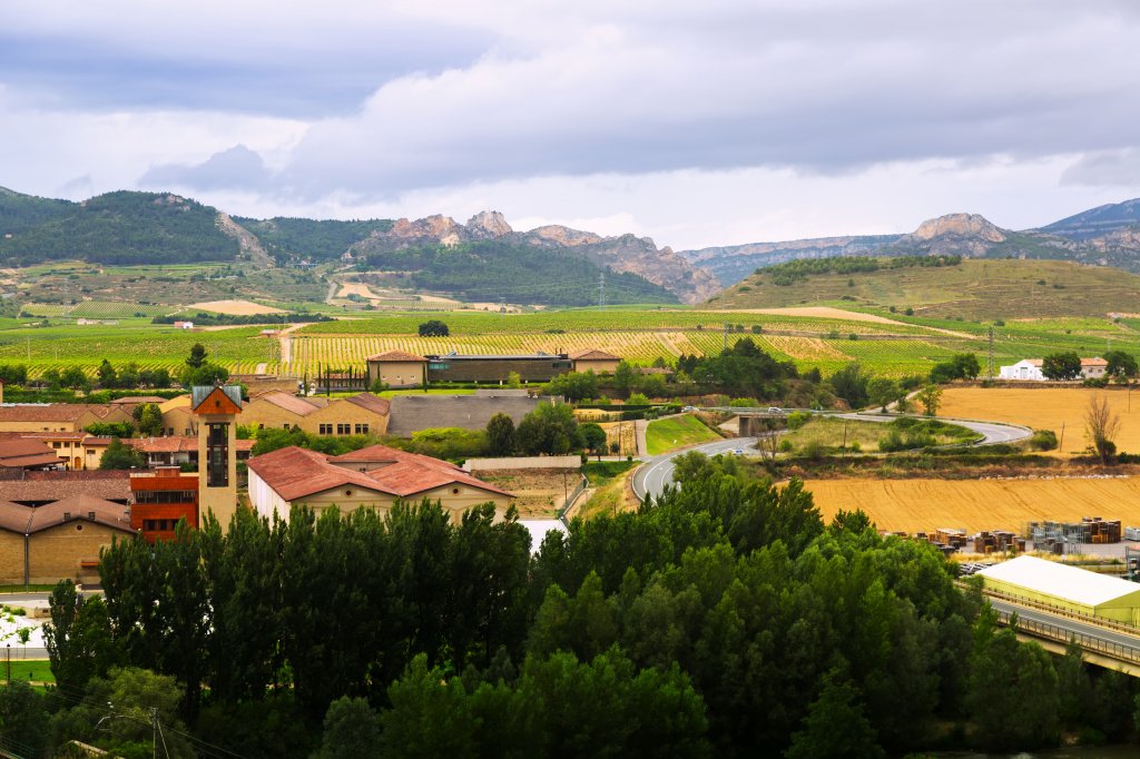 Виноделие на территории Испании появилось еще за несколько тысячелетий до нашей эры