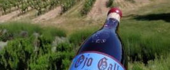 Биодинамическая «вишенка» Риберы Биодинамическая «вишенка» Риберы