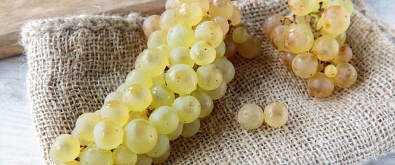 Альбариньо — гордость Галисии