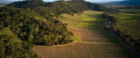 Лучшие вина Серебряного края Лучшие вина Серебряного края