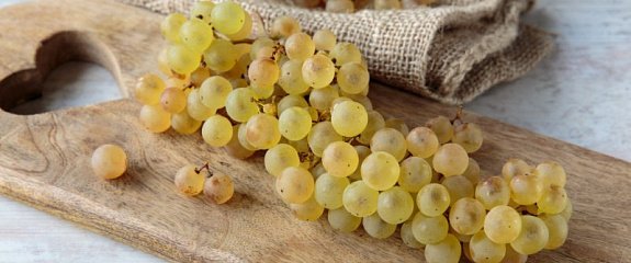 Почему Алиготе называют вторым белым сортом Бургундии