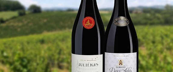 Глубина Божоле в новом звучании: красные вина от Vinescence – Vignerons de Bel Air