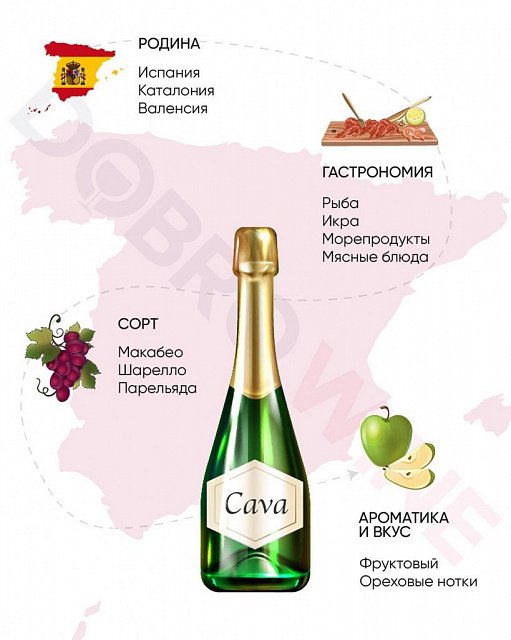 Dobro.wine Instagram Official Photo 50099
