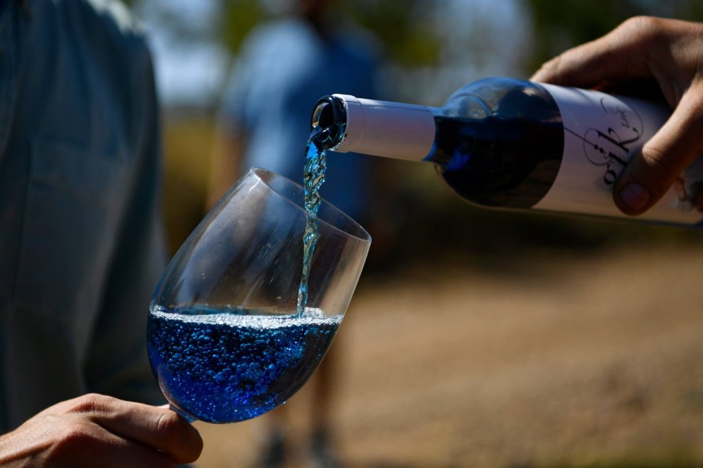Синее вино имеет такой цвет из-за специфичного сорта винограда